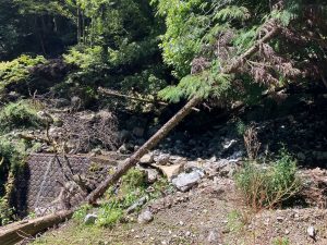 宮崎県諸塚村黒岳クロダキ湧水